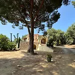13 Oliviers - Piscine Xxl, Parc Arbore Et Coucher De Soleil Lumio (Corsica)