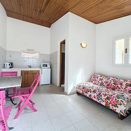 13 Oliviers Couchers De Soleil *