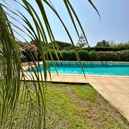 13 Oliviers - Piscine Xxl, Parc Arbore Et Coucher De Soleil *
