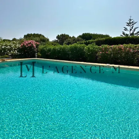 Prázdninový dům 13 Oliviers - Piscine Xxl, Parc Arbore Et Coucher De Soleil Lumio (Corsica)