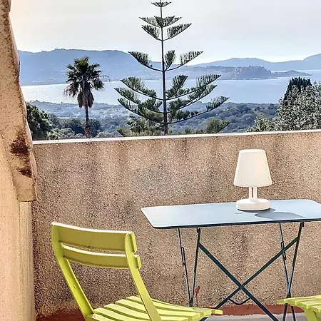 13 Oliviers Couchers De Soleil *