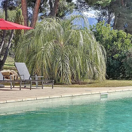 13 Oliviers - Piscine Xxl, Parc Arbore Et Coucher De Soleil Holiday home