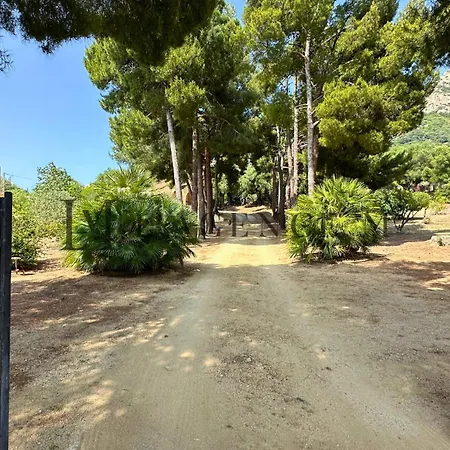 13 Oliviers Couchers De Soleil Lumio (Corsica)