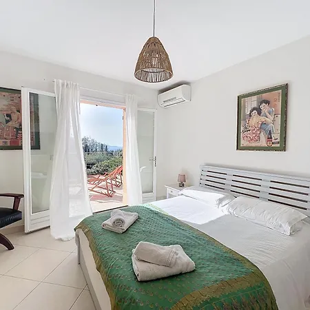 13 Oliviers Couchers De Soleil *