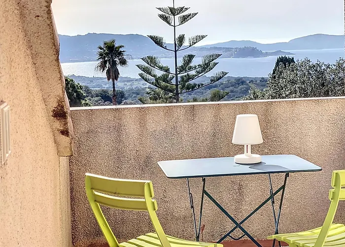 13 Oliviers Couchers De Soleil *