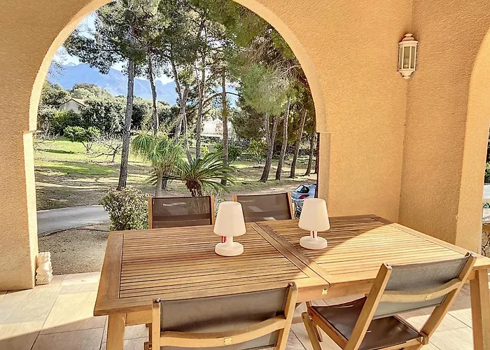 13 Oliviers Couchers De Soleil *