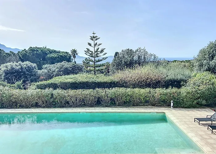 13 Oliviers Couchers De Soleil 卢米奥