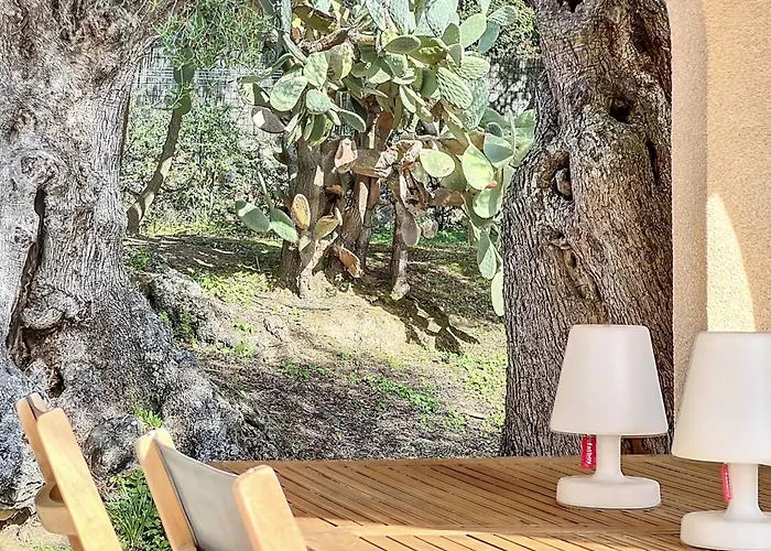 13 Oliviers Couchers De Soleil * Lumio (Corsica)