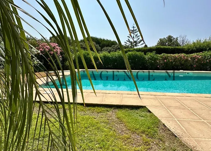 13 Oliviers Couchers De Soleil *