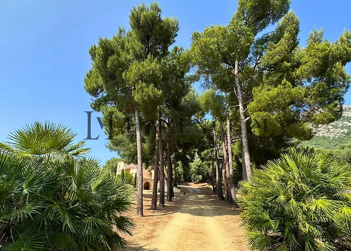 13 Oliviers Couchers De Soleil Vakantiehuis