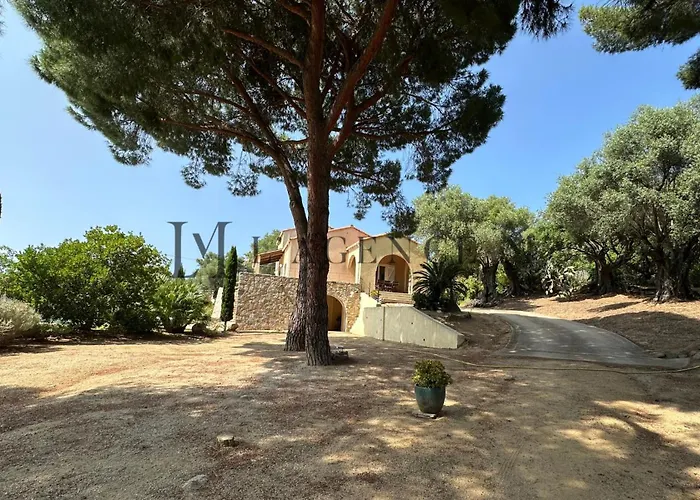 13 Oliviers Couchers De Soleil 卢米奥