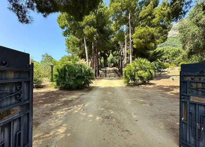 13 Oliviers Couchers De Soleil 卢米奥